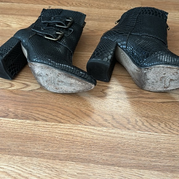 Freebird Joey - Picture 5 of 6